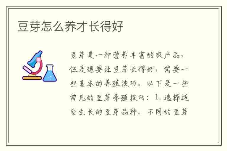 豆芽怎么养才长得好(豆芽怎么养才长得好看)